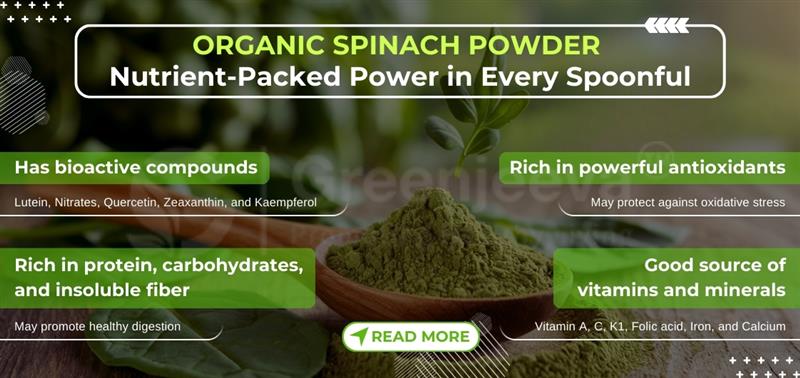 Organic Spinach Powder is a Must for Your Products